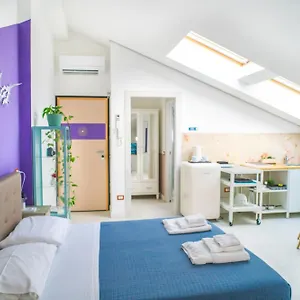 Stella House + Free Park Bed & Breakfast